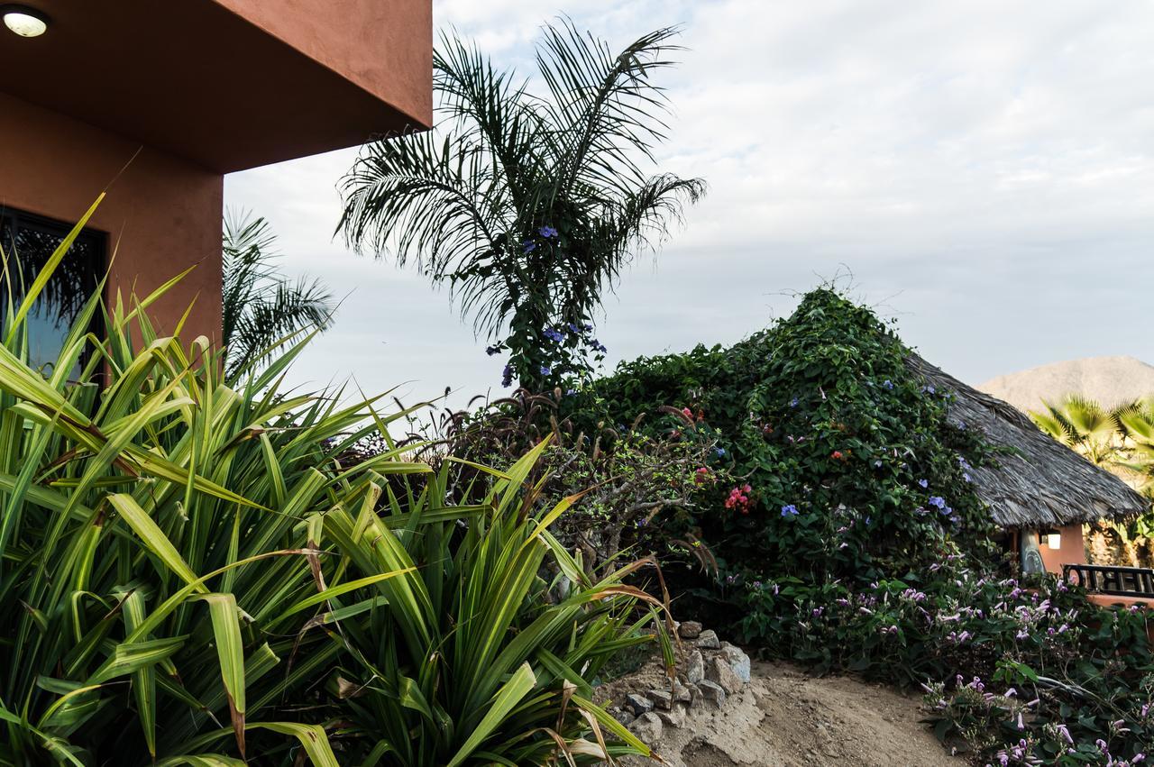 Cerritos Beach Hotel Desert Moon El Pescadero  외부 사진
