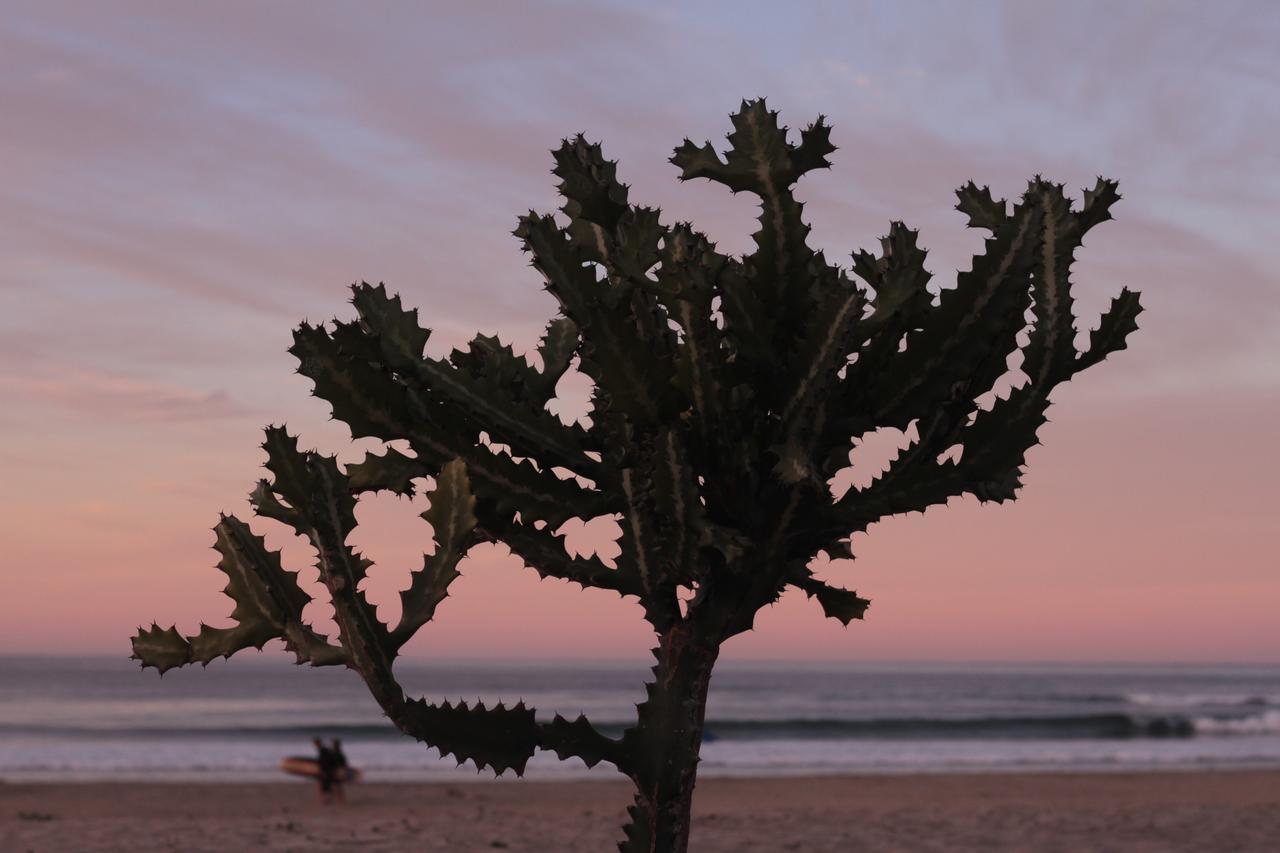 Cerritos Beach Hotel Desert Moon El Pescadero  외부 사진